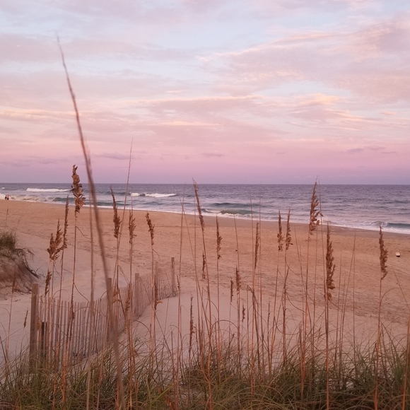 Meet your Posher, Roya - Picture 2 of 4